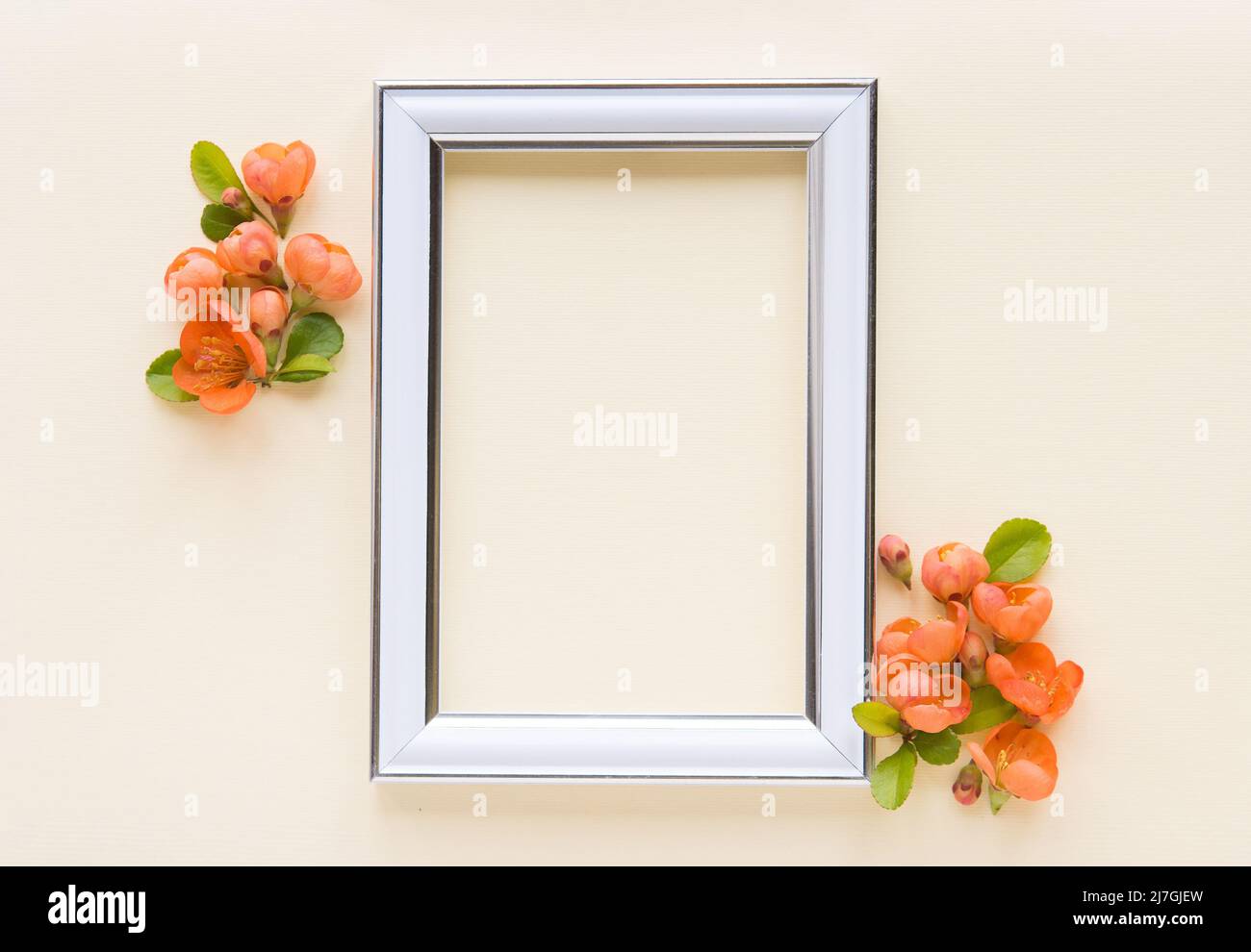 bella disposizione dei fiori. Fiori arancioni brillanti, cornice fotografica vuota per testo su sfondo pastello chiaro. Matrimonio. Compleanno. San Valentino. Festa delle madri. Vista dall'alto, spazio di copia Foto Stock
