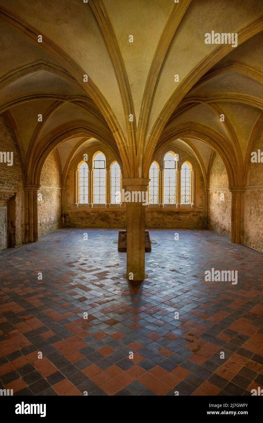 Interno della Chapter House di Lacock Abbey con il soffitto a volta e la costruzione di pilastri, Wiltshire, Inghilterra, Regno Unito. Foto Stock