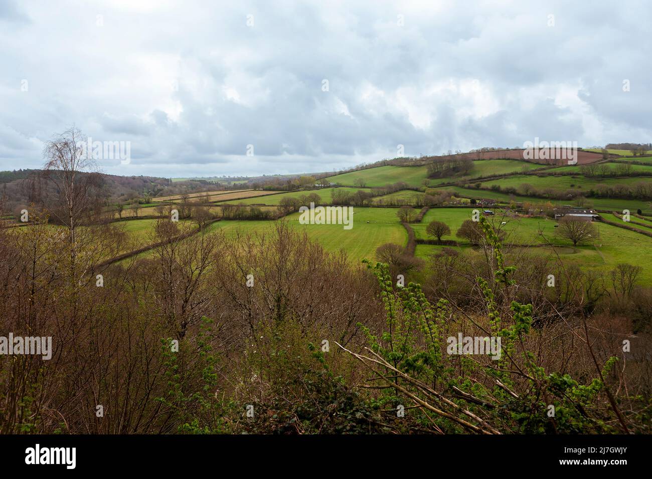 Campagna nella valle di Torridge, da Great Torrington Common, Devon, Regno Unito Foto Stock