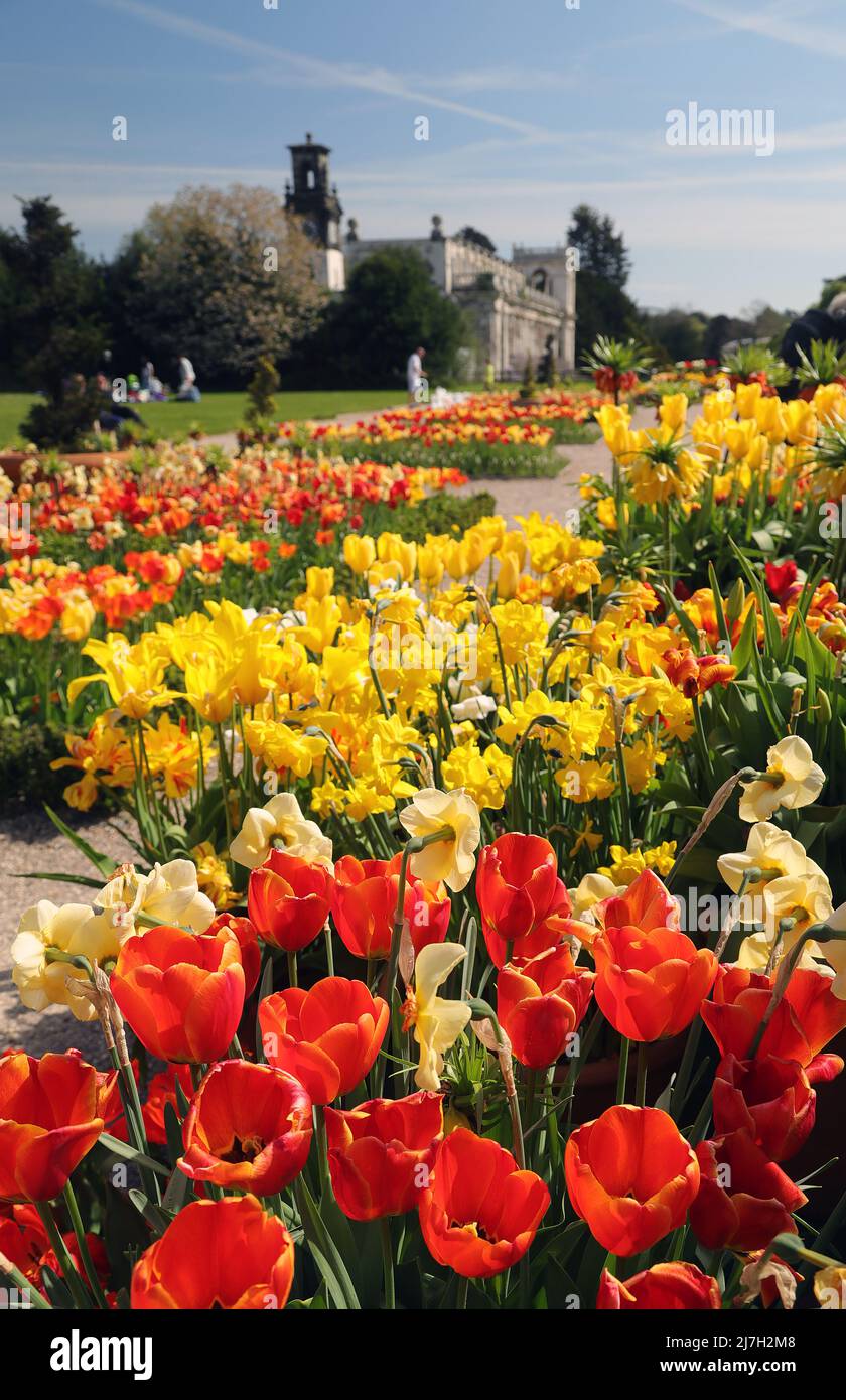 Giardini Trentham in primavera Foto Stock