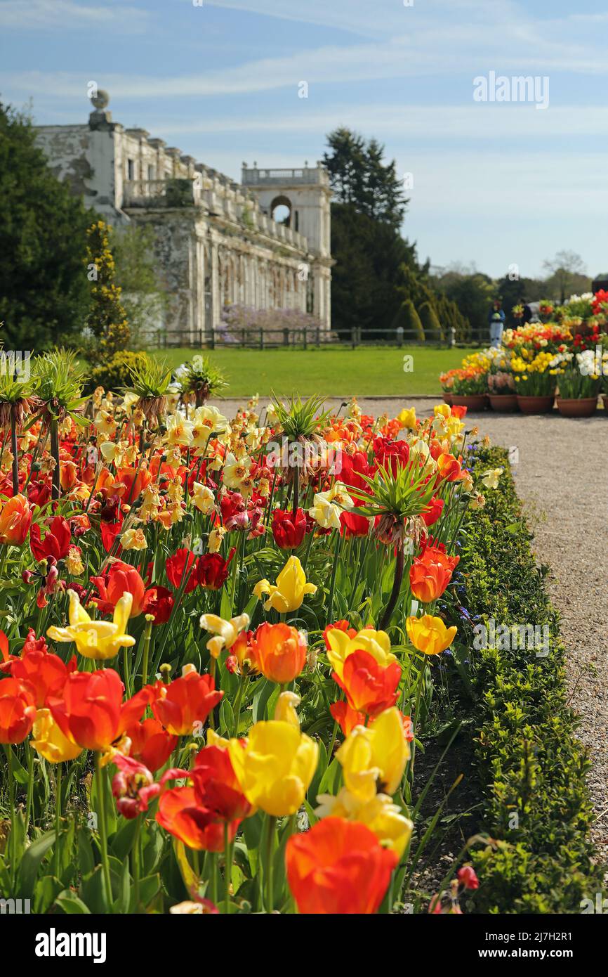 Giardini Trentham in primavera Foto Stock
