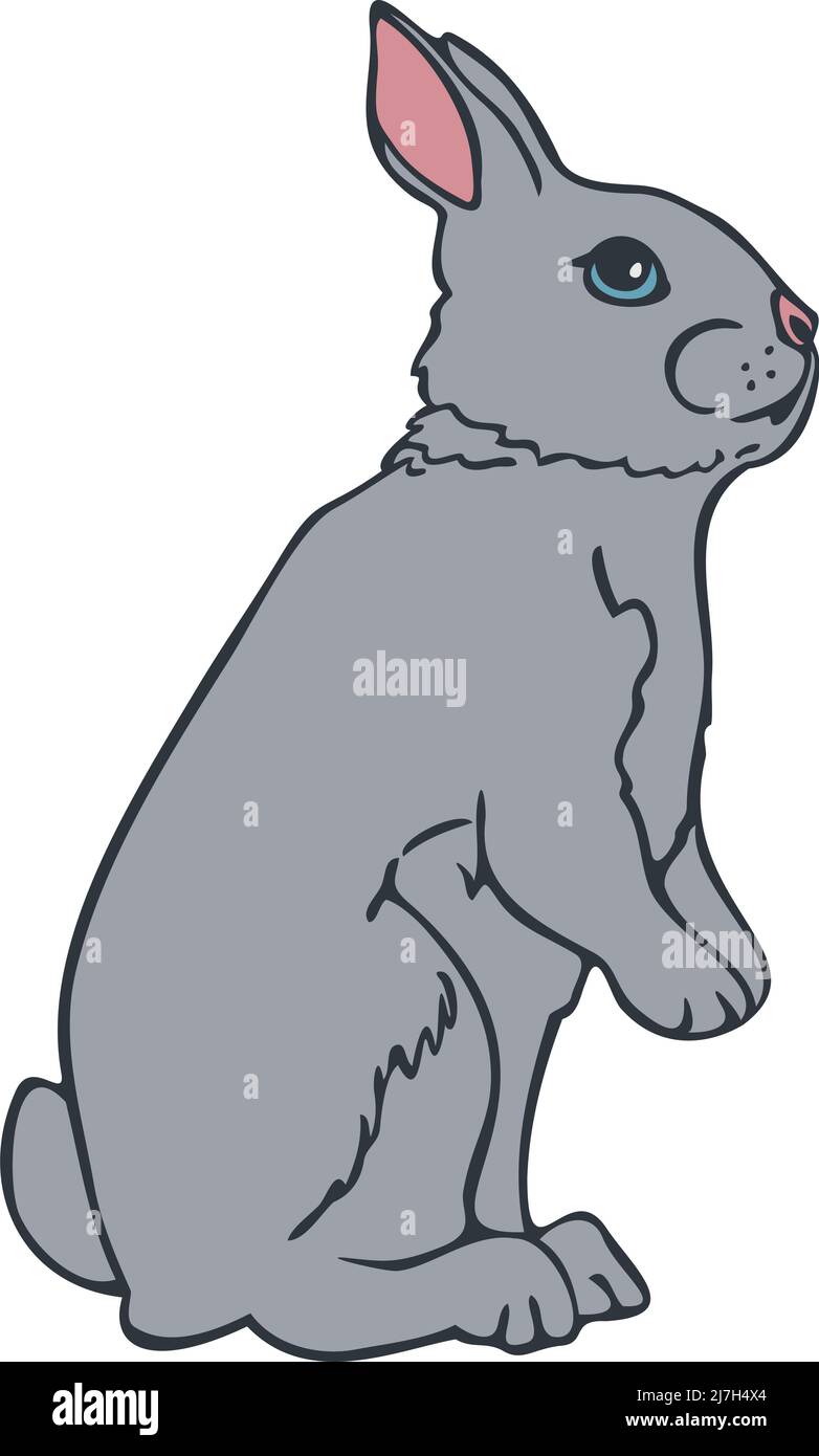 Illustrazione vettoriale del coniglietto colorato e raffigurato da una linea. Coniglio disegnato a mano in piedi sulle gambe posteriori. Illustrazione Vettoriale