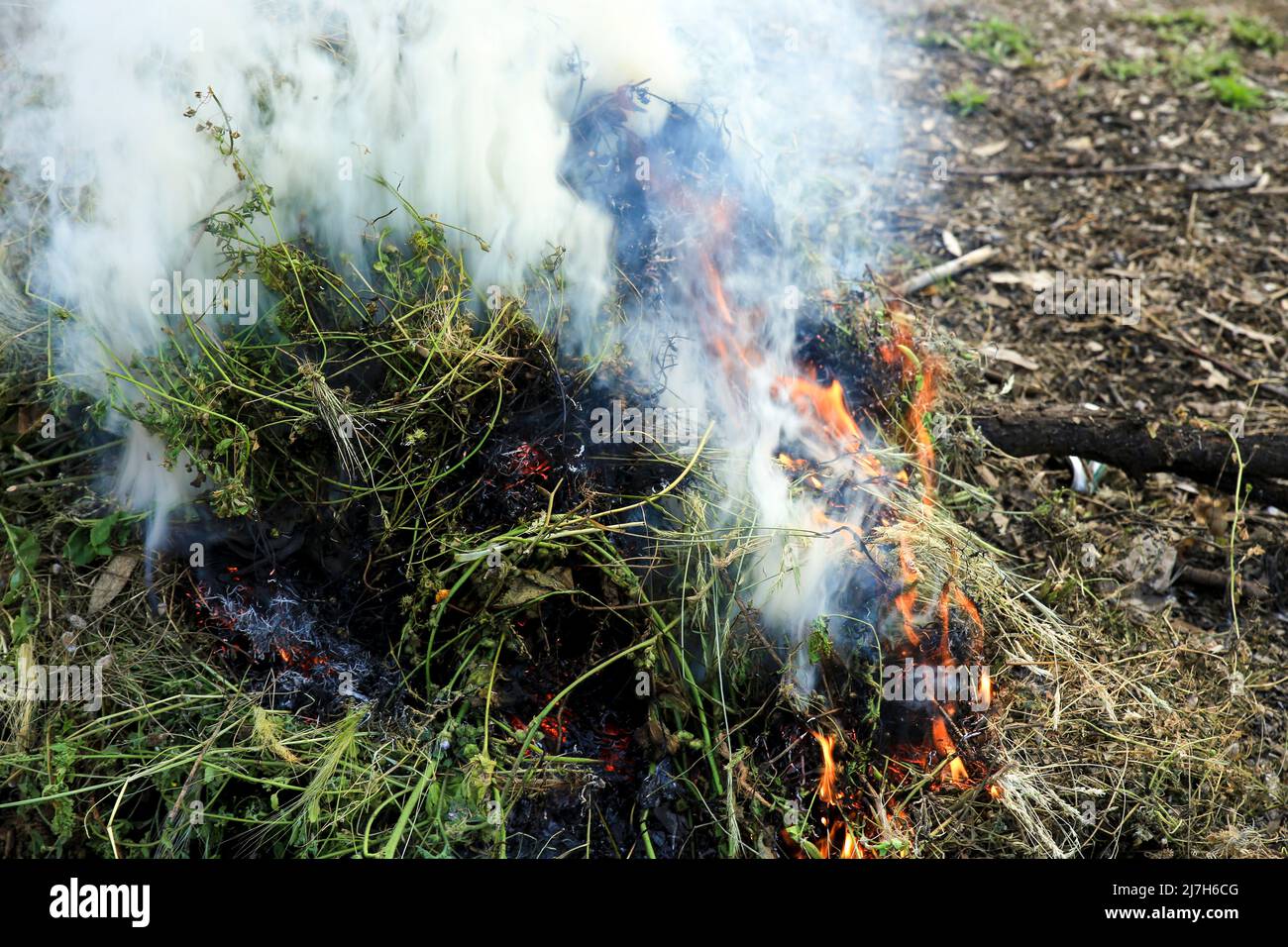 Piccolo falò di potatura nella campagna in Spagna Foto Stock