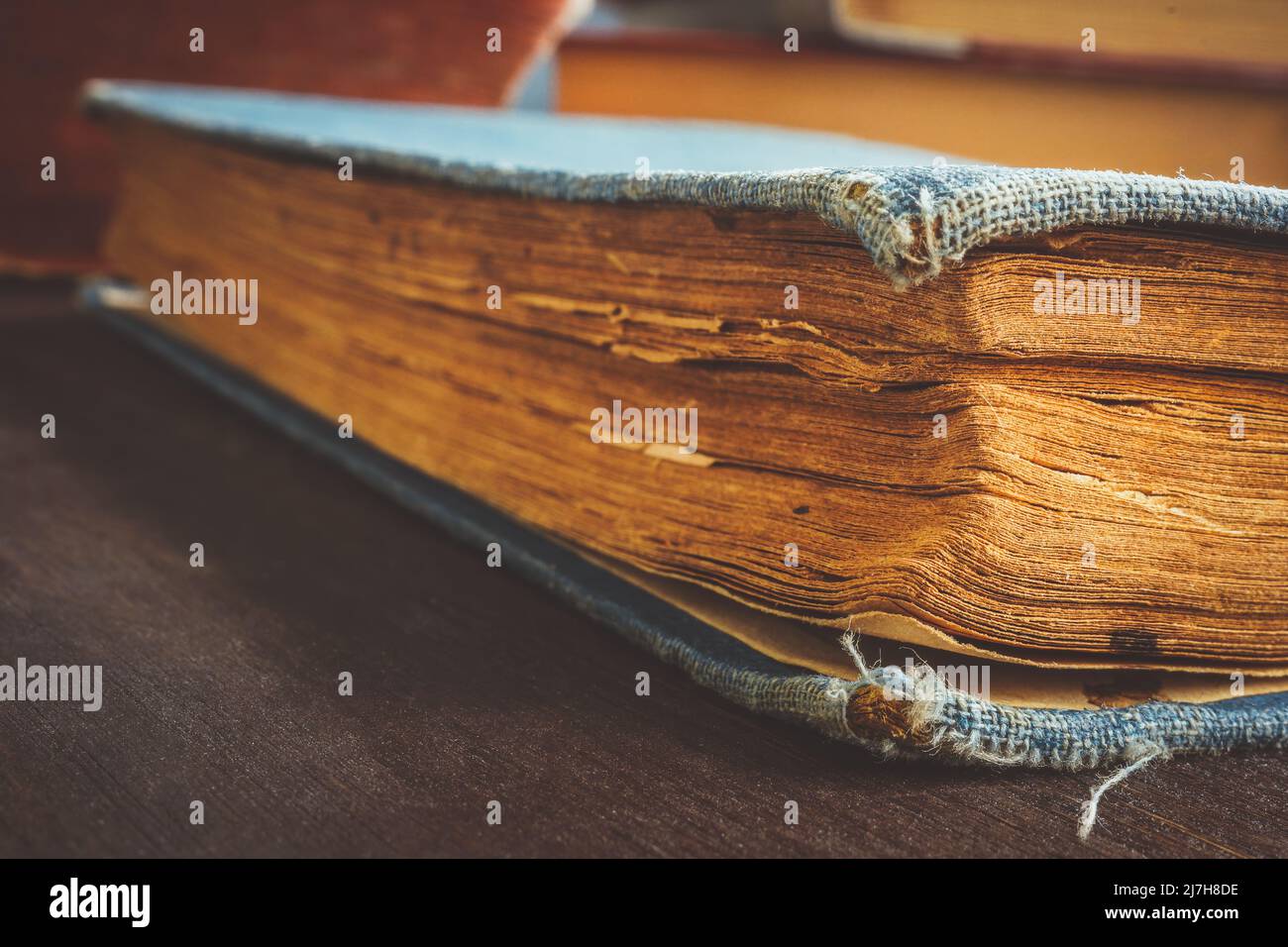 Primo piano di un vecchio libro con carta ingiallita. Foto Stock