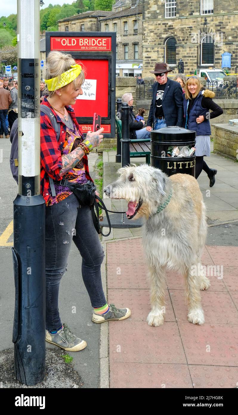 Un wolfhound irlandese sembra avere una conversazione divertente con la sua padrona durante l'annuale Holmfirth Folk Festival. Foto Stock