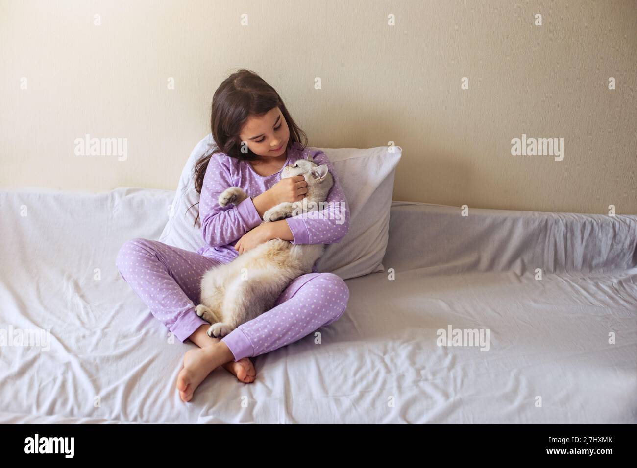 Una bambina in pigiama viola, con i suoi capelli scuri sciolti, si siede abbracciando un gatto bianco affascinante Foto Stock