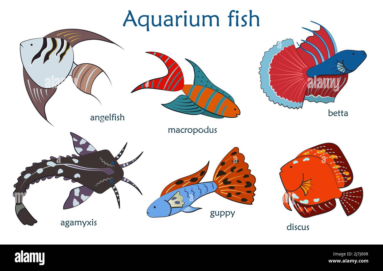 Set con pesci simpatici e colorati dell'acquario. Illustrazione Vettoriale