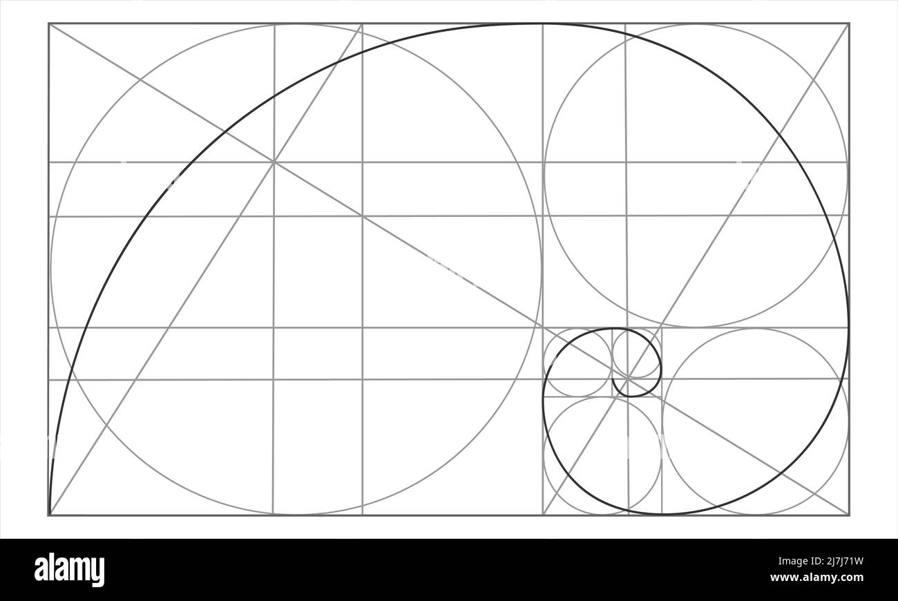 Modello Golden Ratio. Spirale logaritmica in rettangolo con cerchi e linee incrociate. Forma a guscio Nautilus. Sequenza Fibonacci. Griglia delle proporzioni di simmetria ideali. Illustrazione del contorno vettoriale Illustrazione Vettoriale