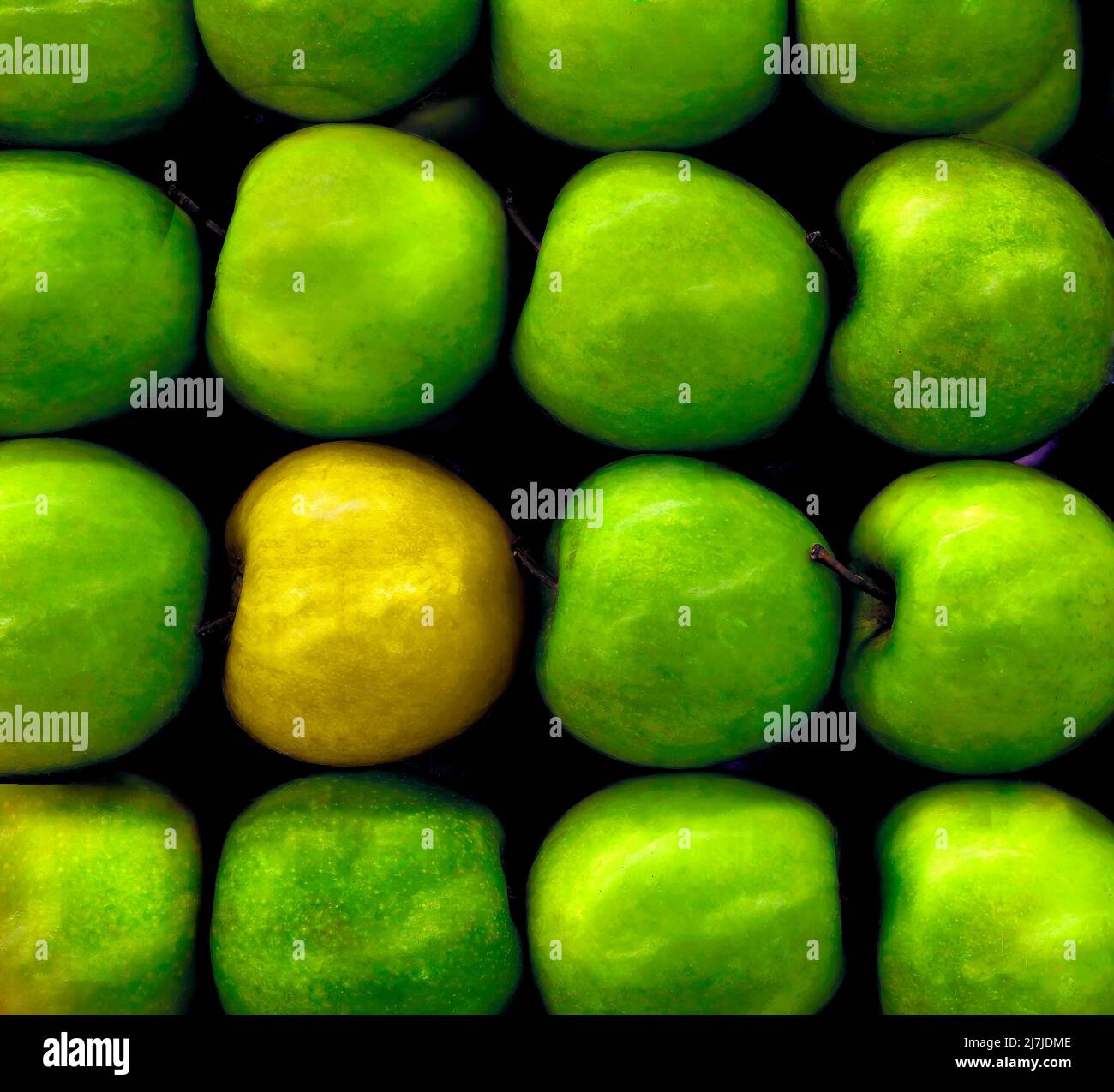 La foto ha mele verdi con una mela dorata, un concetto per mostrare individualismo, creatività, o unicità usando mele Foto Stock