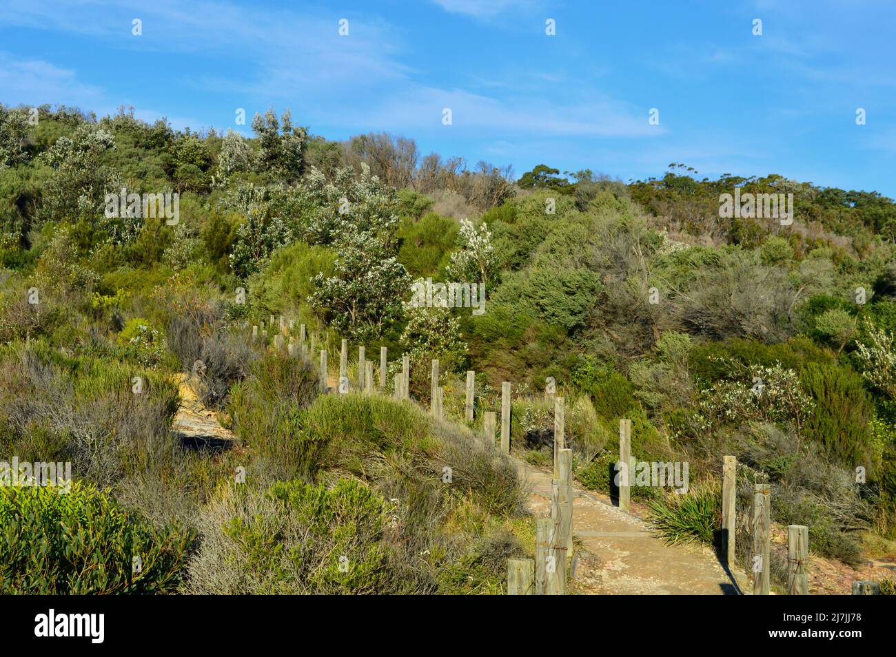 Una vista di un sentiero a piedi vicino la Perouse a Sydney, Australia Foto Stock