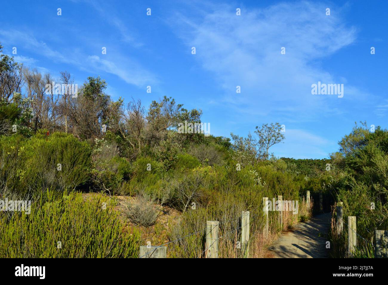Una vista di un sentiero a piedi vicino la Perouse a Sydney, Australia Foto Stock