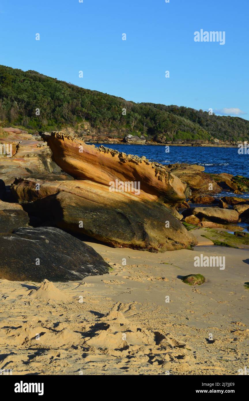 Una vista a Congwong Beach vicino la Perouse a Sydney, Australia Foto Stock