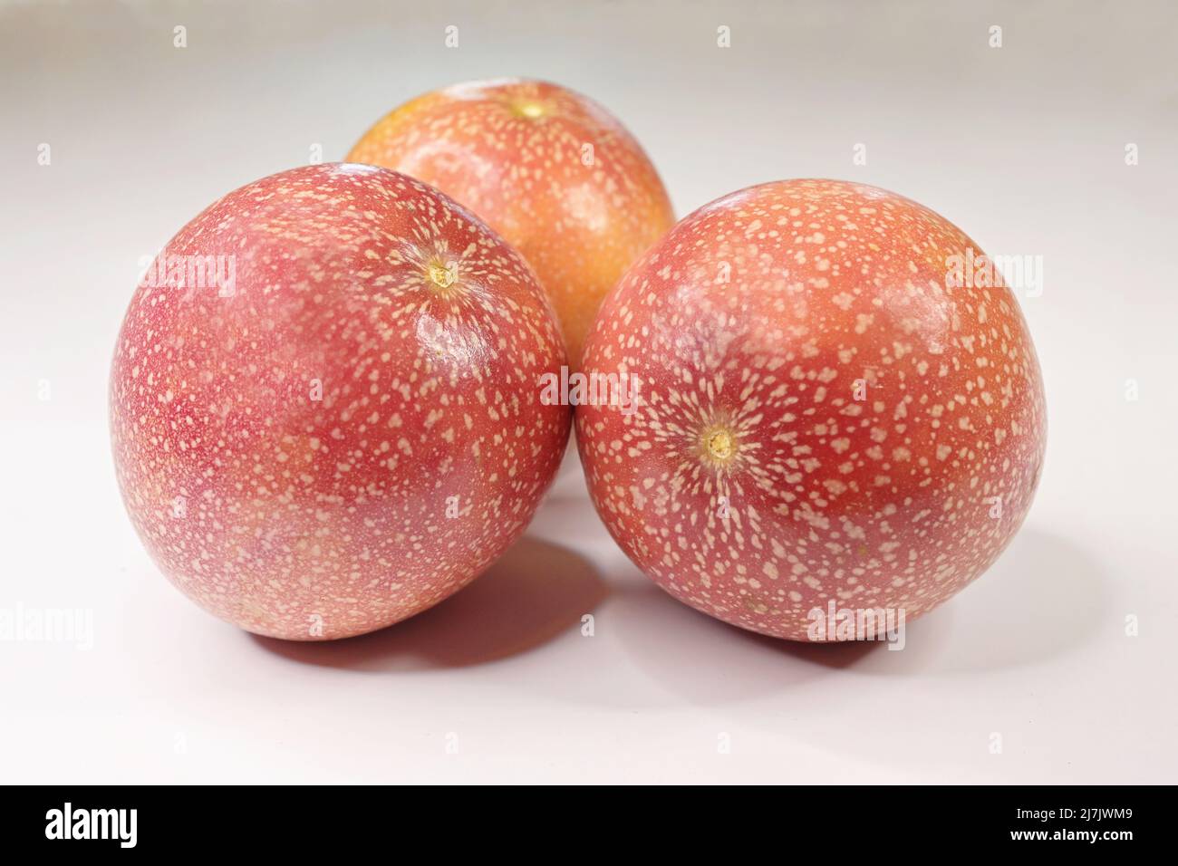 Tre frutti di passione interi con pelle rosa chiaro su sfondo bianco Foto Stock