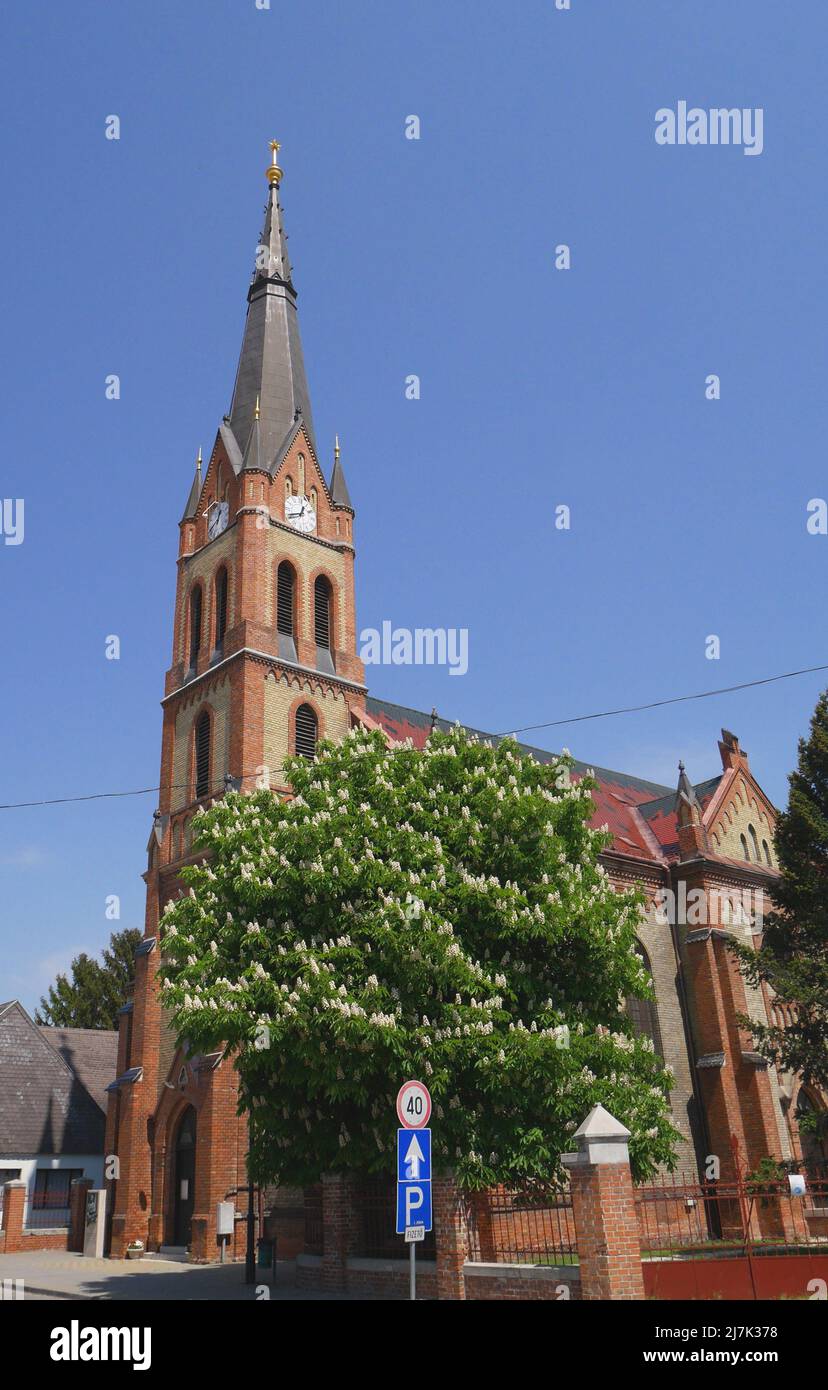 La guglia della chiesa neogotica riformata a Rackeve, Isola di Csepel, Ungheria Foto Stock