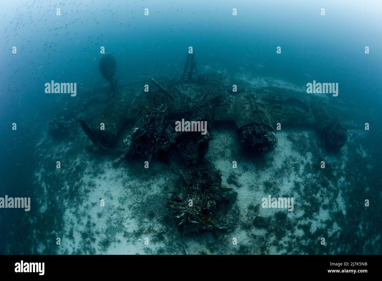 B-24 Liberator Bomber Wreck, isola di Vis, Mar Mediterraneo, Croazia Foto Stock