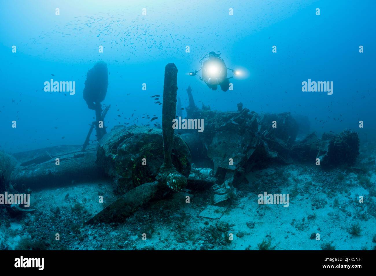 Subacqueo al B-24 Liberator Bomber Wreck, isola di Vis, Mar Mediterraneo, Croazia Foto Stock
