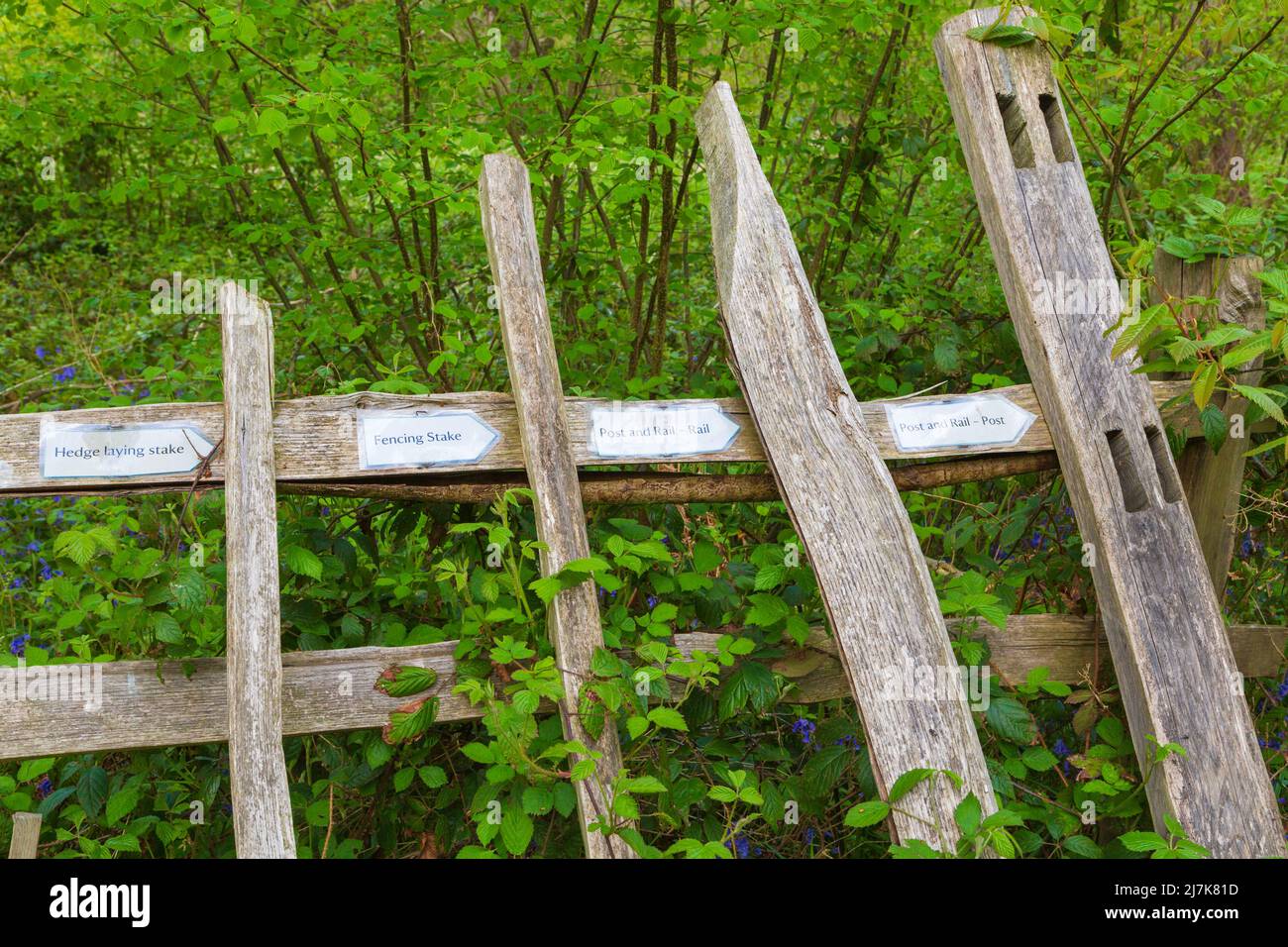 Diversi tipi di pali per recinzioni, pali per la posa di siepi, pali per recinzioni, pali per poste e ferrovie, pali per poste e ferrovie, regno unito Foto Stock