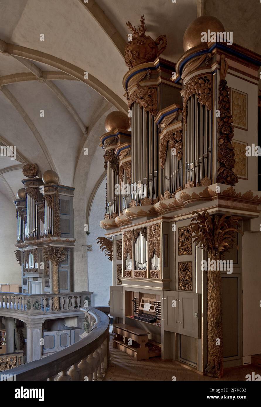 Zeitz Dom 78818 Hauptbauzeit 15 JH Orgelgehäuse von 1663 mit Eule-Werk um 2000 links leeres Gehäuse aus Symmetriegründen errichtet Foto Stock