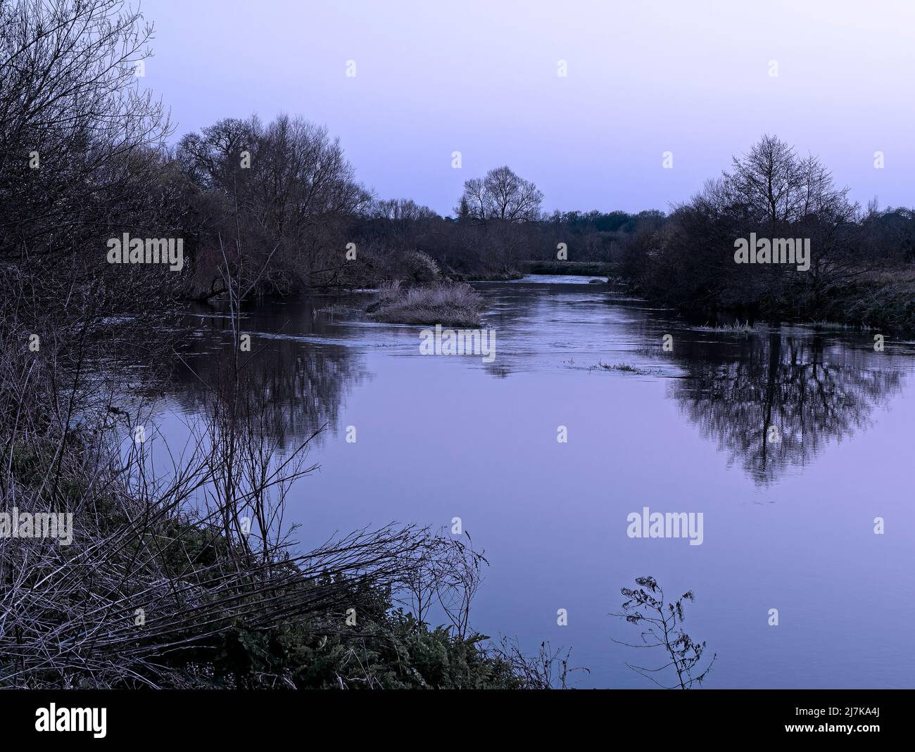Tramonto in una giornata invernale sul fiume Stour con albero isolato Foto Stock