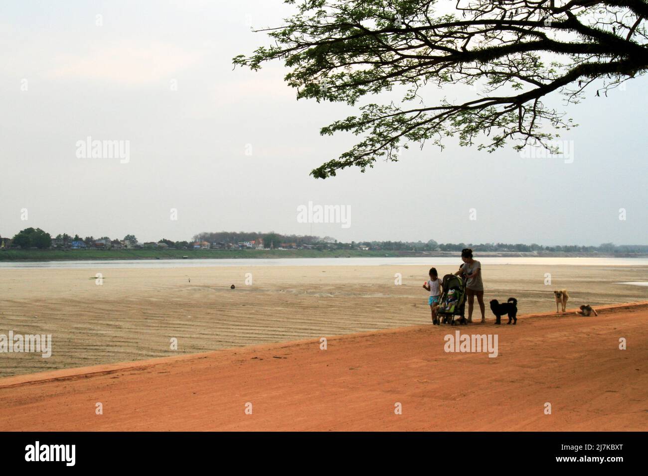 La famiglia cammina lungo il letto asciutto del fiume Mekong, Vientiane, Laos Foto Stock