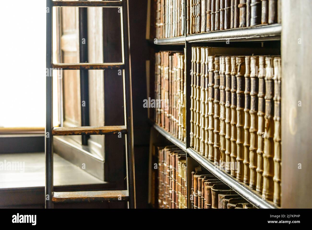 Abbondanza di vari libri invecchiati con i hardcovers disposti su librerie scure vicino a lunga scala di legno nella biblioteca chiara dell'università Foto Stock
