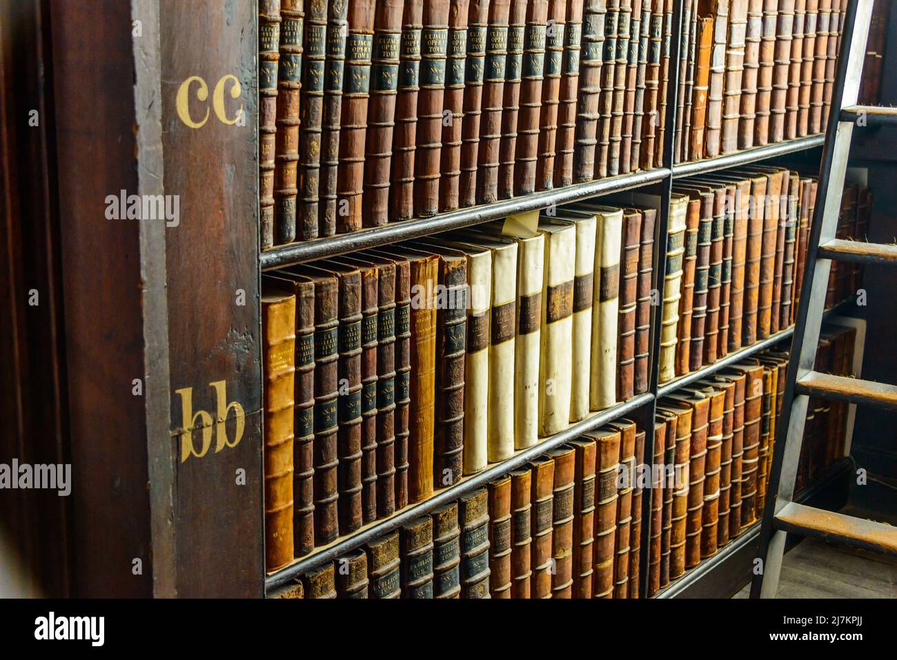 Abbondanza di vari libri invecchiati con i hardcovers disposti su librerie scure vicino a lunga scala di legno nella biblioteca chiara dell'università Foto Stock