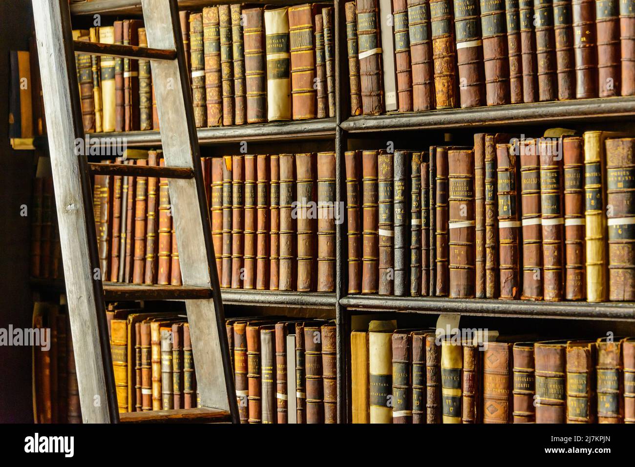 Abbondanza di vari libri invecchiati con i hardcovers disposti su librerie scure vicino a lunga scala di legno nella biblioteca chiara dell'università Foto Stock