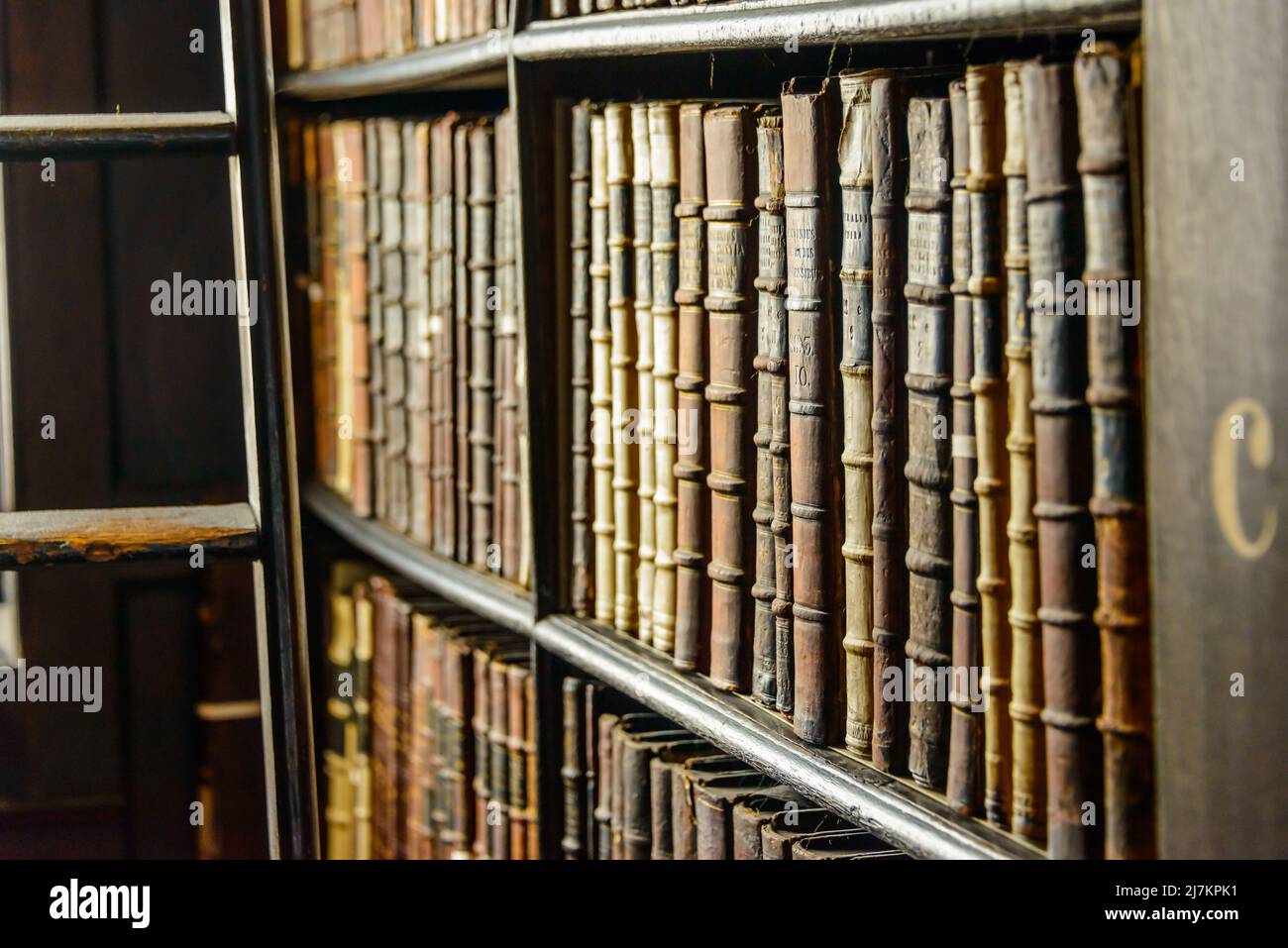 Abbondanza di vari libri invecchiati con i hardcovers disposti su librerie scure vicino a lunga scala di legno nella biblioteca chiara dell'università Foto Stock