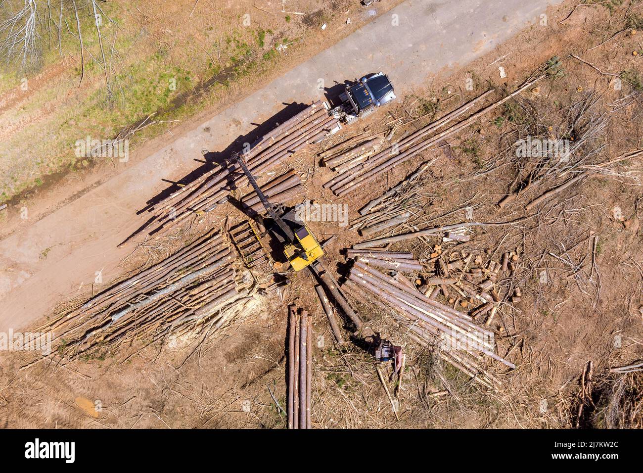 Gru operatore caricamento tronchi legno su camion Foto Stock