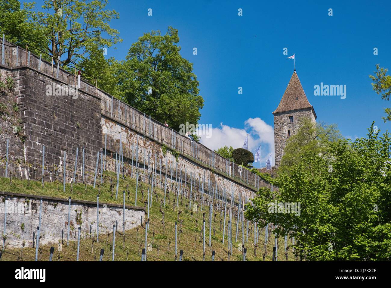 WALLS SCHLOSS RAPPERSWIL SVIZZERA Foto Stock