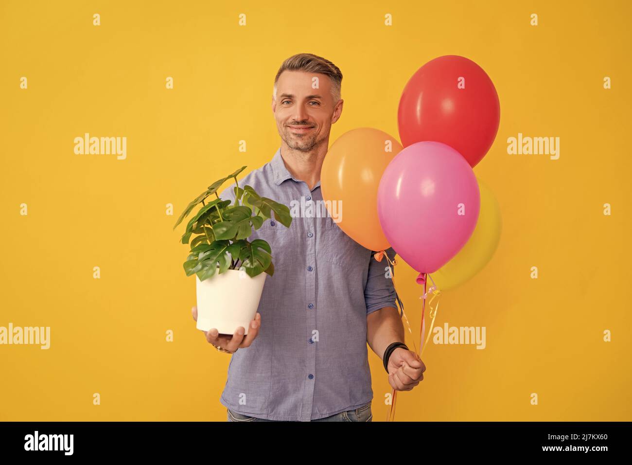 sorridente bell'uomo tenere palloncini partito e pianta su sfondo giallo, nuova dimora Foto Stock
