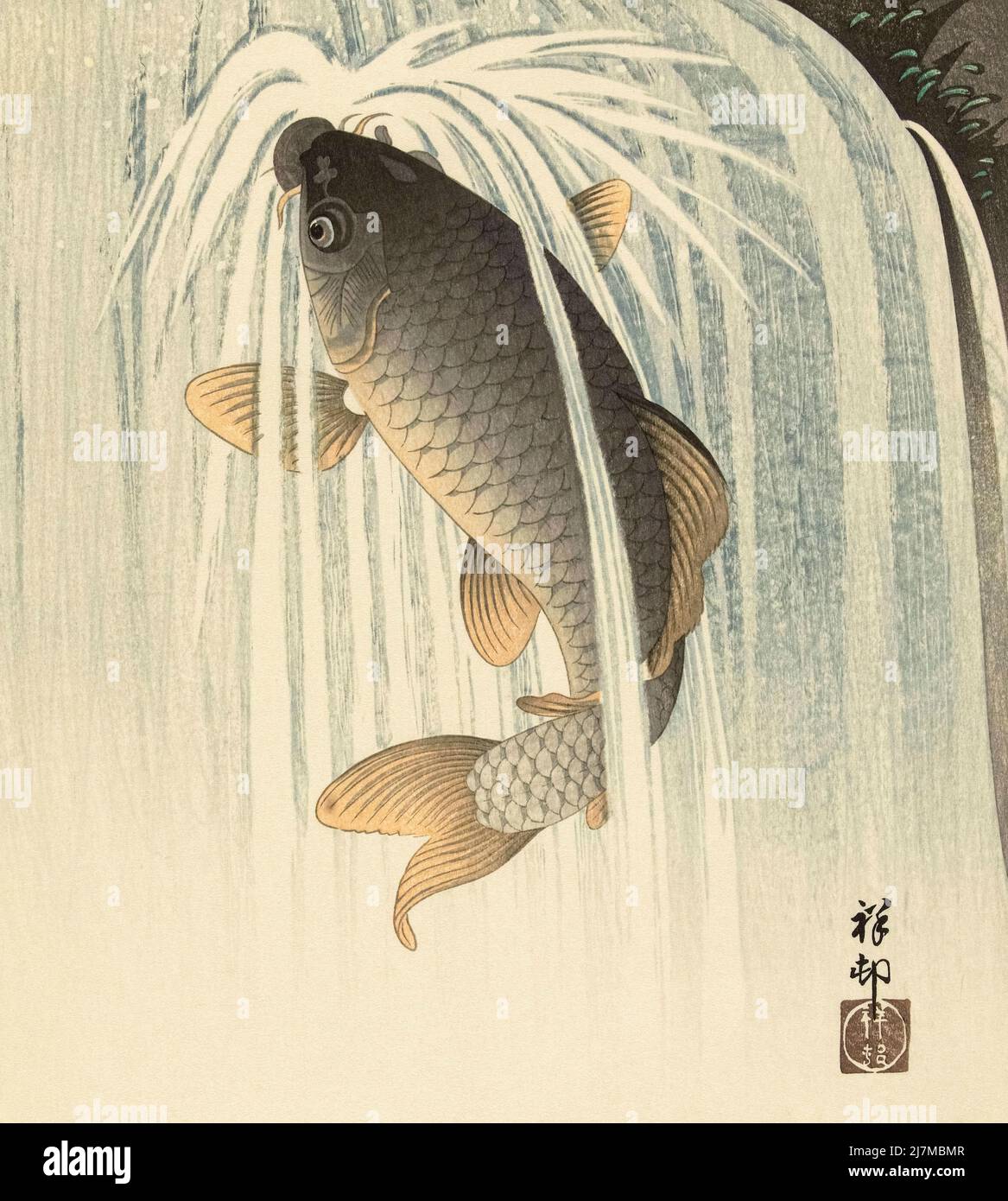 Carpa sotto una cascata, dell'artista giapponese Ohara Koson, 1877 - 1945. Ohara Koson faceva parte dello shin-hanga, o del movimento delle nuove stampe. Foto Stock
