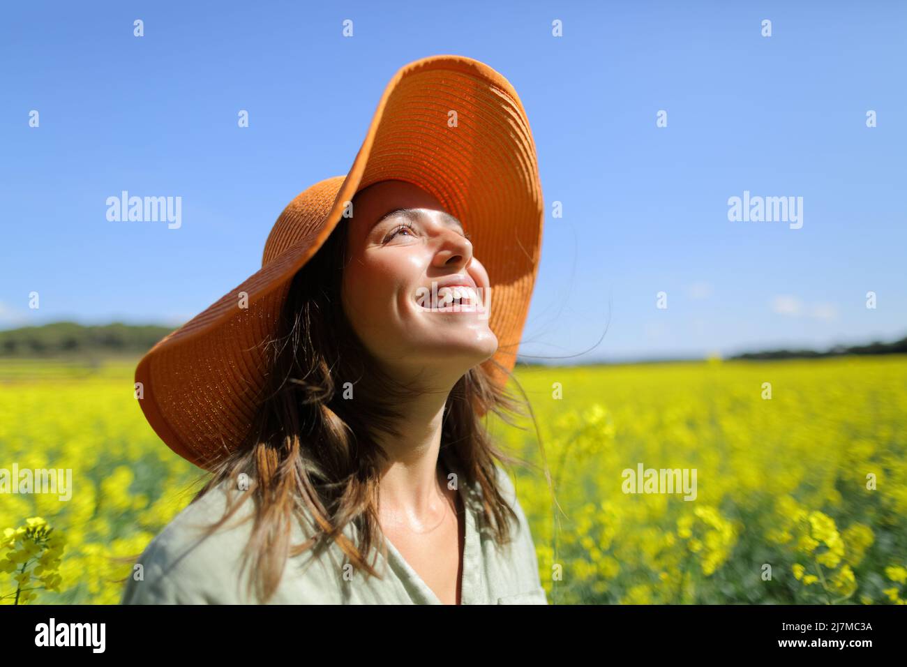 Donna felice che indossa arancione cappello pamela ridendo guardando sopra in un campo una giornata di sole Foto Stock