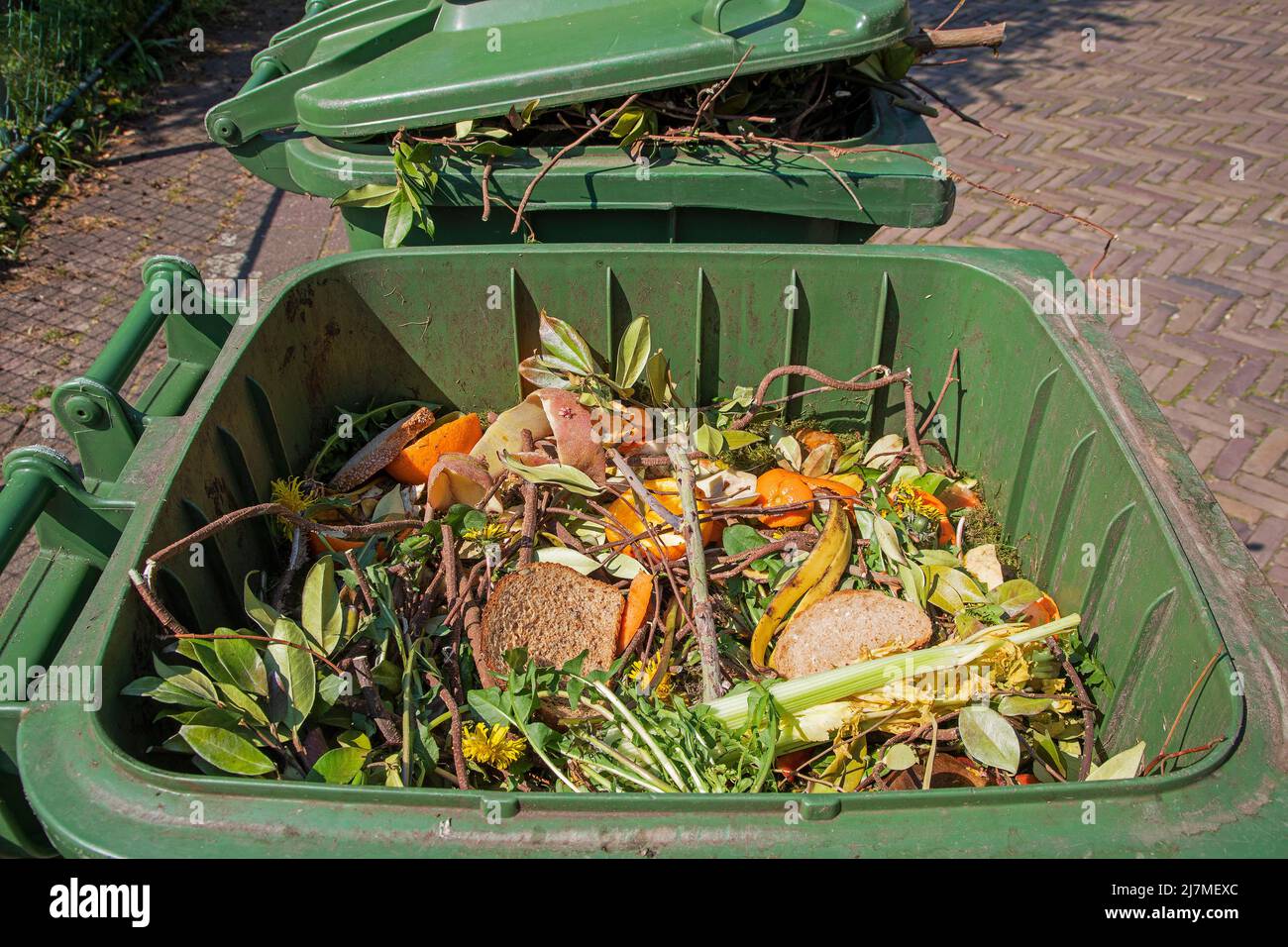 Paesi Bassi, i rifiuti possono essere speciali per i rifiuti biodegradabili, dal giardino o da prodotti alimentari. I rifiuti biodegradabili includono qualsiasi materia organica in WAS Foto Stock