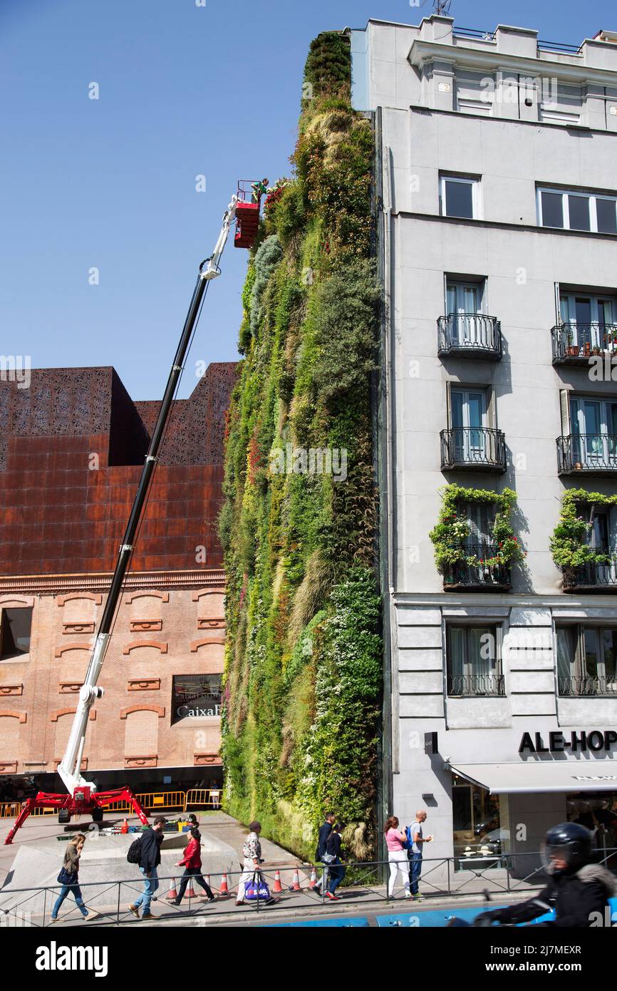 Spagna, Madrid - innaffiatura piante del giardino verticale di CaixaForum, con locali e visitatori. Foto Stock