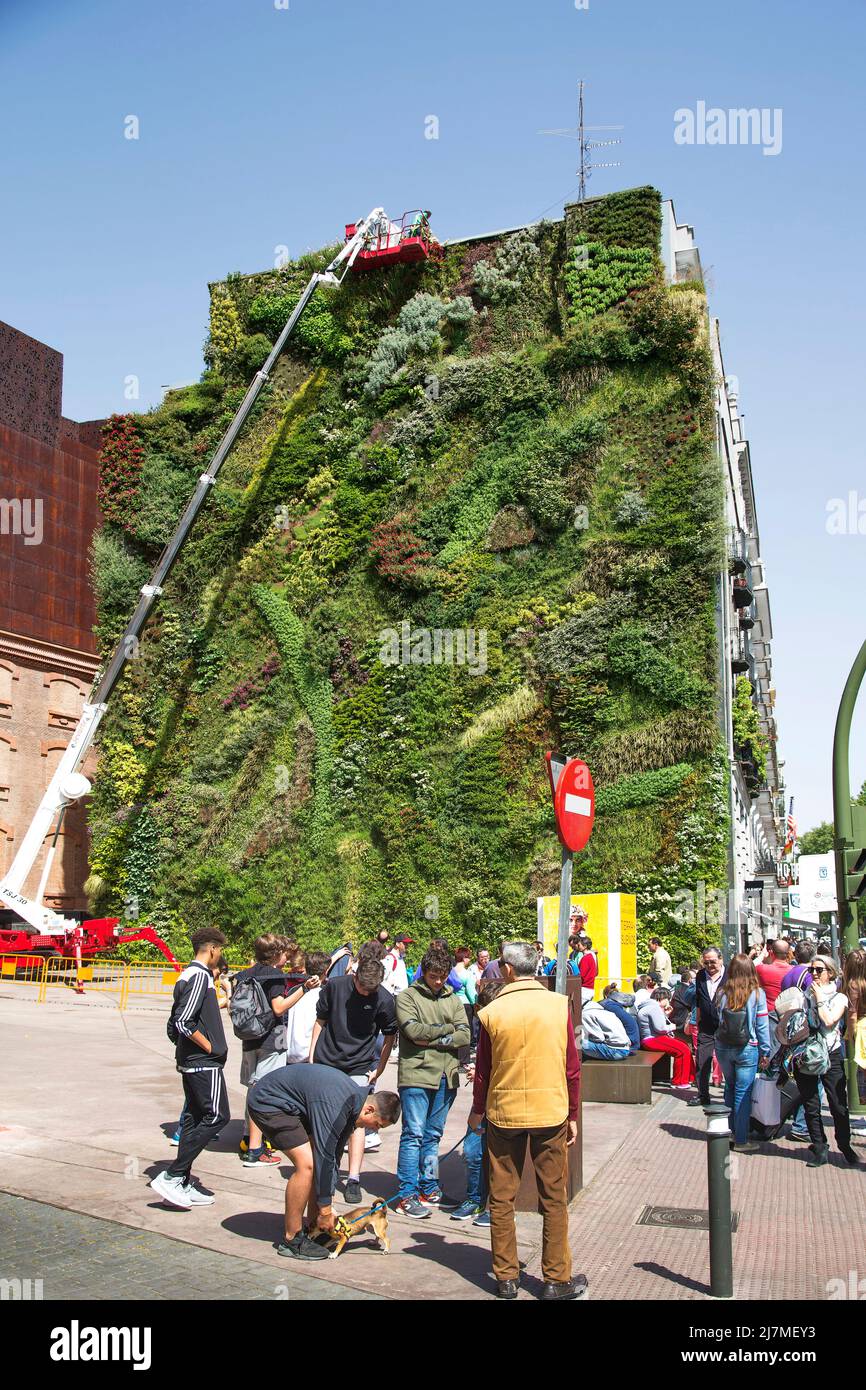 Spagna, Madrid - innaffiatura piante del giardino verticale di CaixaForum, con locali e visitatori. Foto Stock