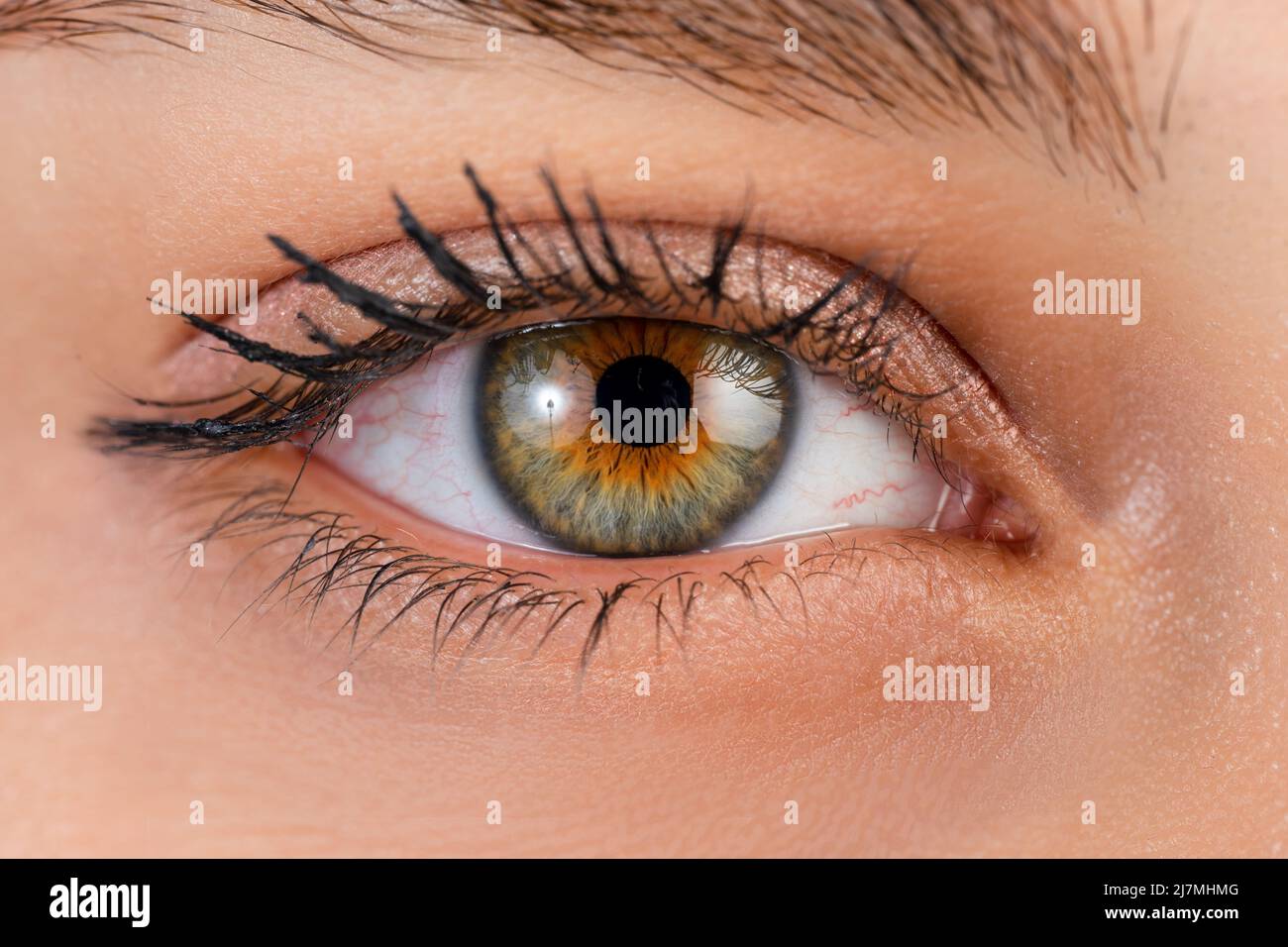 Primo piano, foto macro di un occhio di colore femminile, iride, pupilla, ciglia oculare, coperchi occhi. Foto di alta qualità Foto Stock