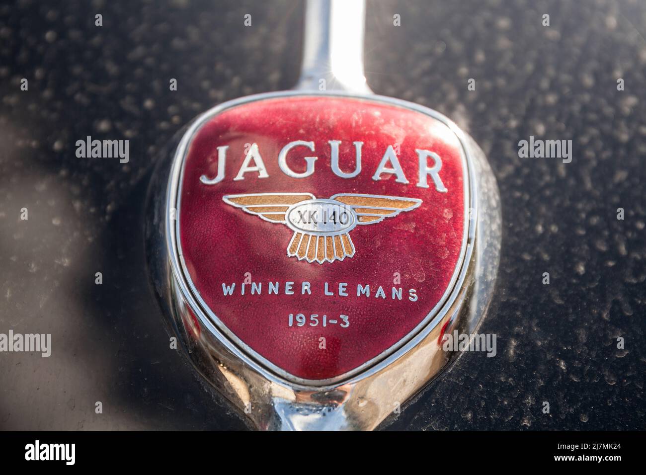 Emblema Jaguar su una vettura XK 140 le Mans vincitrice Foto Stock