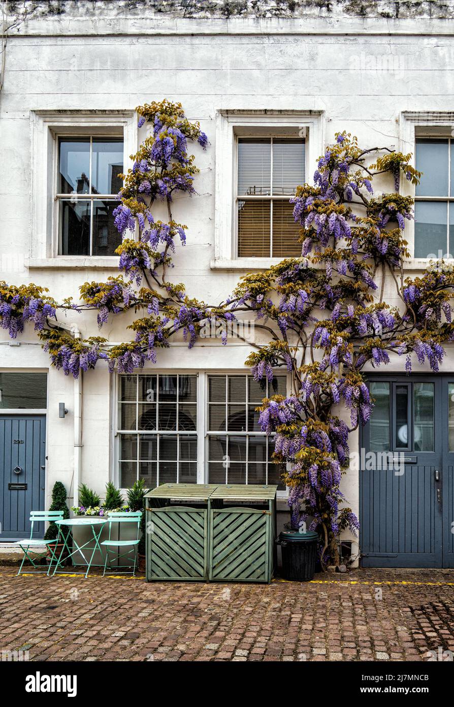 Le vecchie case dei mews di Londra sono state restaurate per rendere un albergo ricercato e desiderabile Foto Stock