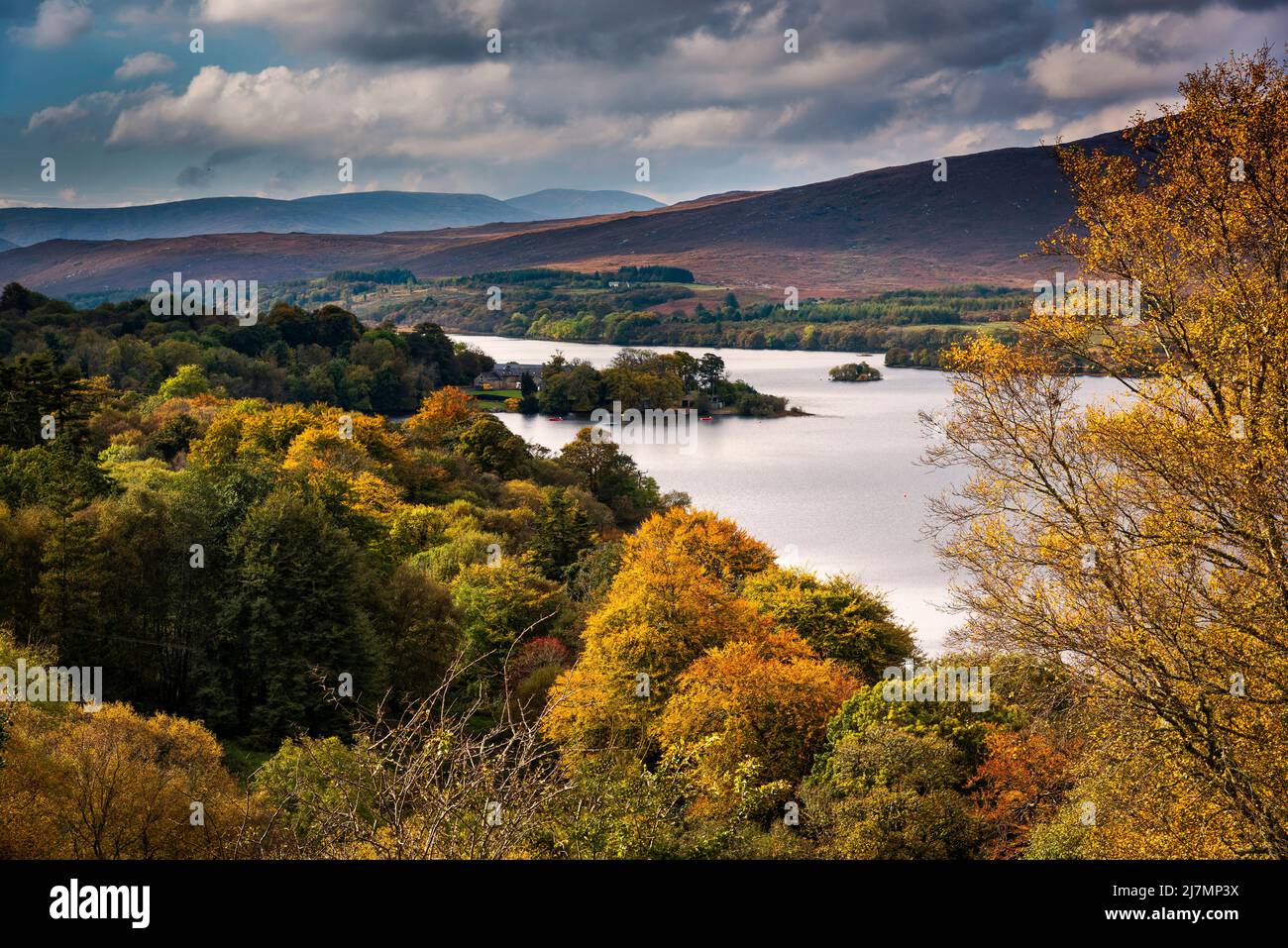 Vista autunnale sugli alberi e il lago in un paesaggio collinare / valle, Gartin Lake, County Donegal, Irlanda Foto Stock