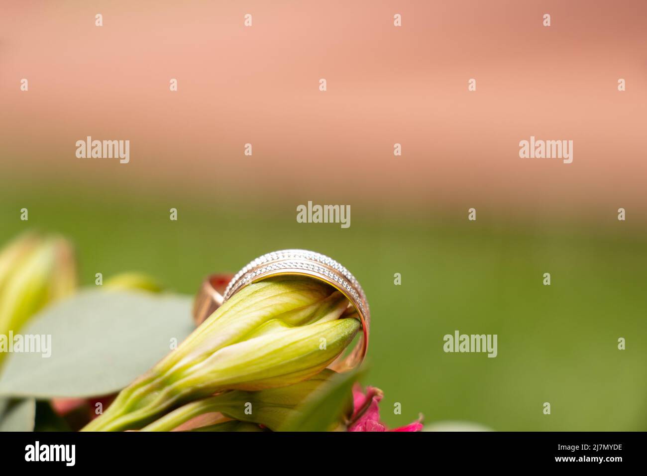 gli anelli d'oro del matrimonio della sposa e dello sposo giacciono sullo sfondo di un bouquet di fiori della sposa, anelli d'oro al matrimonio Foto Stock