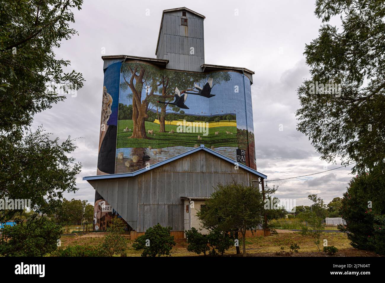 Il silo Dunedoo arte della flora e della fauna dipinta da Peter Mortimore Foto Stock