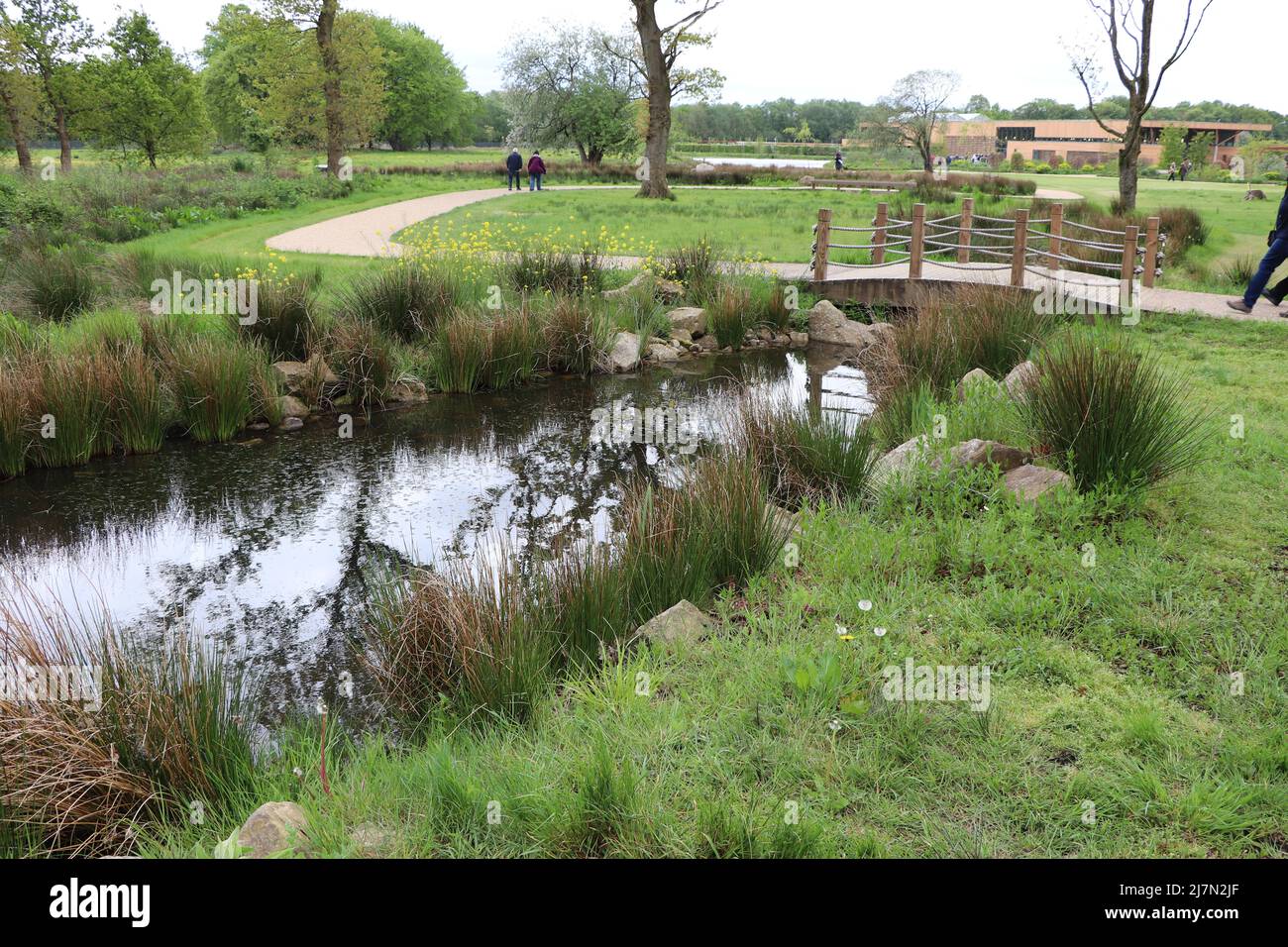 RHS Bridgewater Gardens Manchester Foto Stock