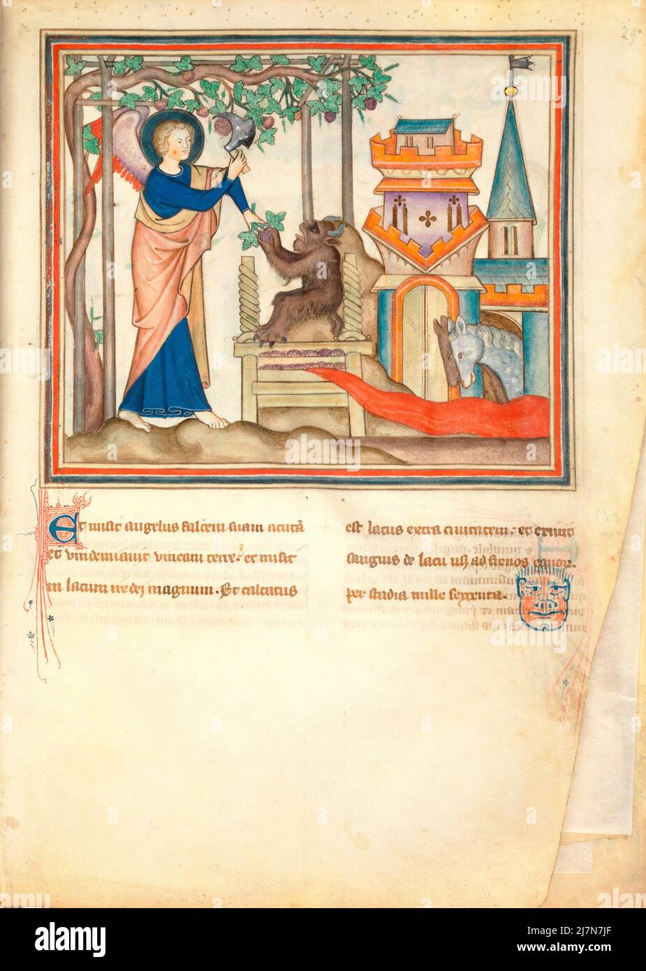 L'Apocalisse dei Chiostri ca. 1330 - l'Apocalisse, o Libro dell'Apocalisse, Giovanni evangelista, durante il suo esilio nell'isola greca di Patmos. In questa immagine - l'Angelo raccoglie la Vintage della Terra, l'angelo raccoglie la vendemmia della terra Foto Stock