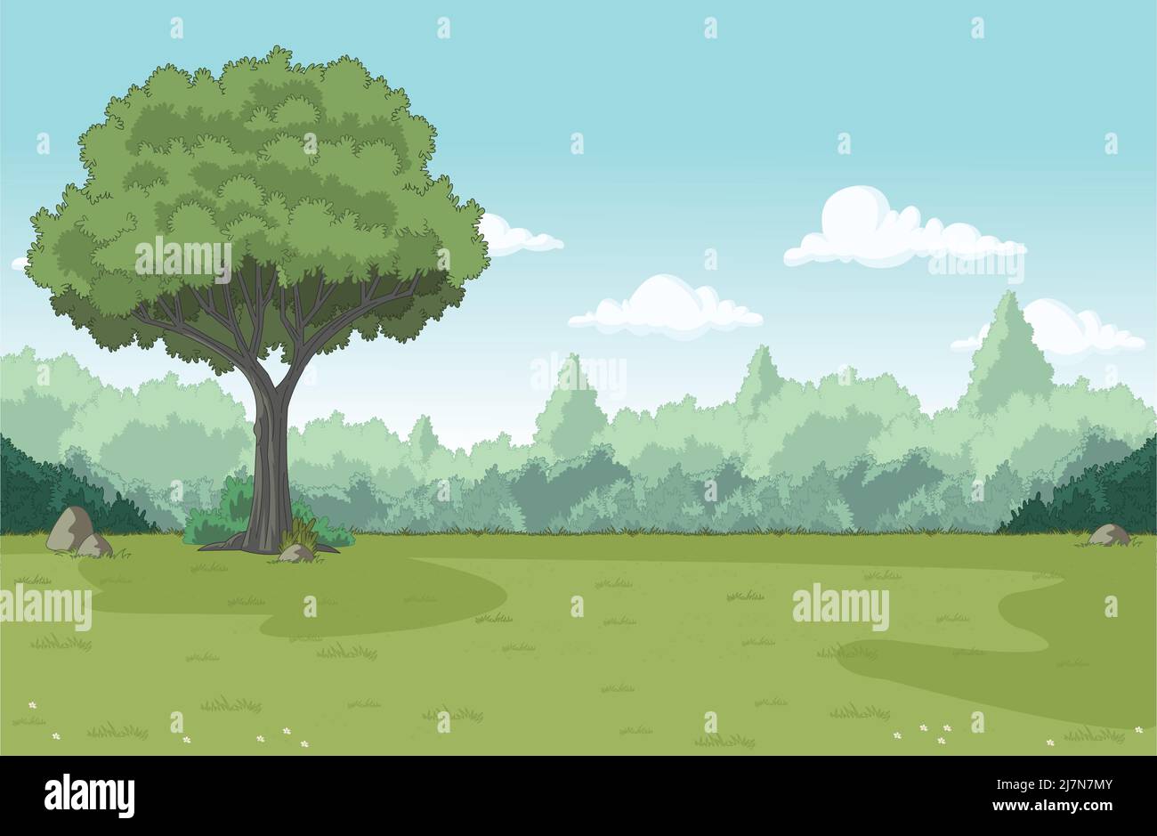 Verde foresta con erba e alberi. Paesaggio naturale. Illustrazione Vettoriale