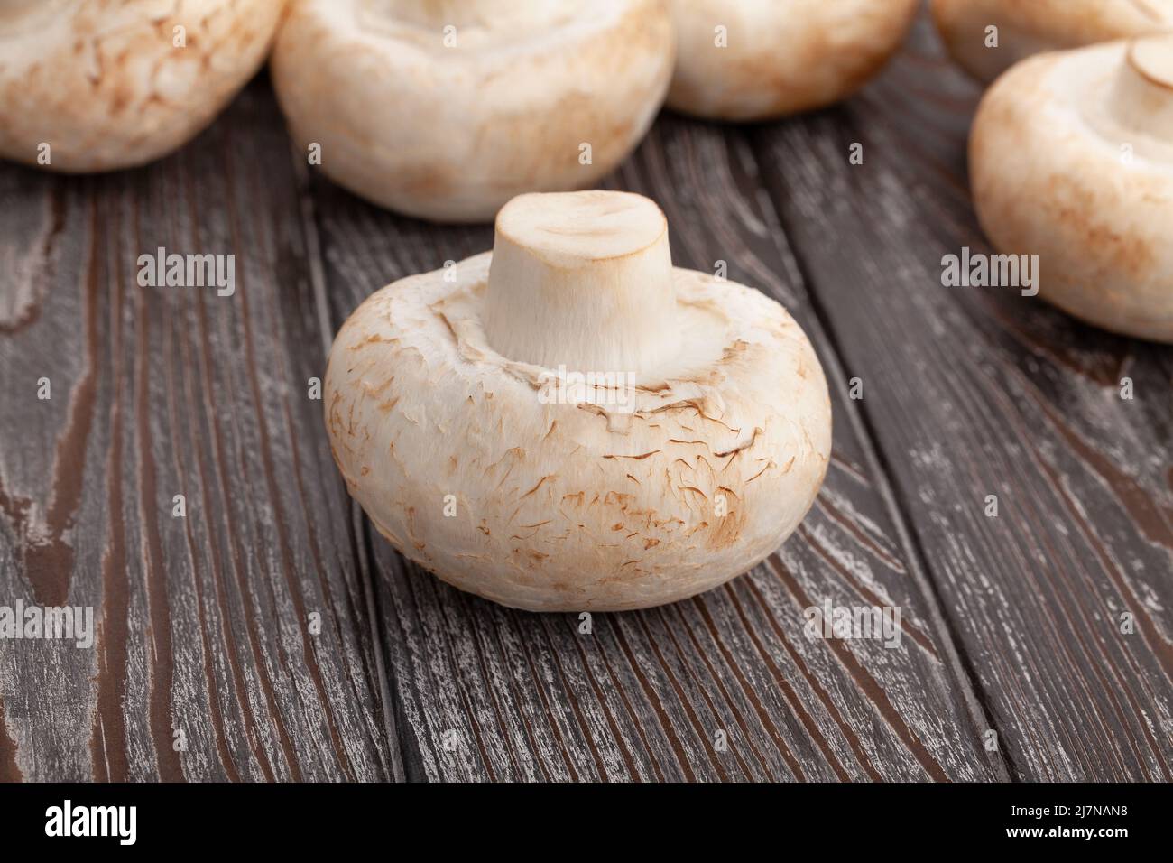 gruppo di funghi su sfondo di legno Foto Stock
