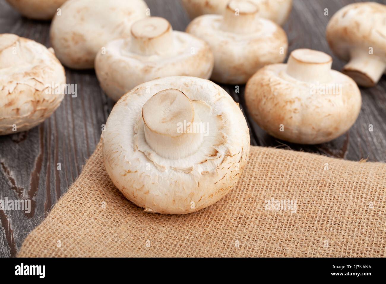 gruppo di funghi su sfondo di legno Foto Stock