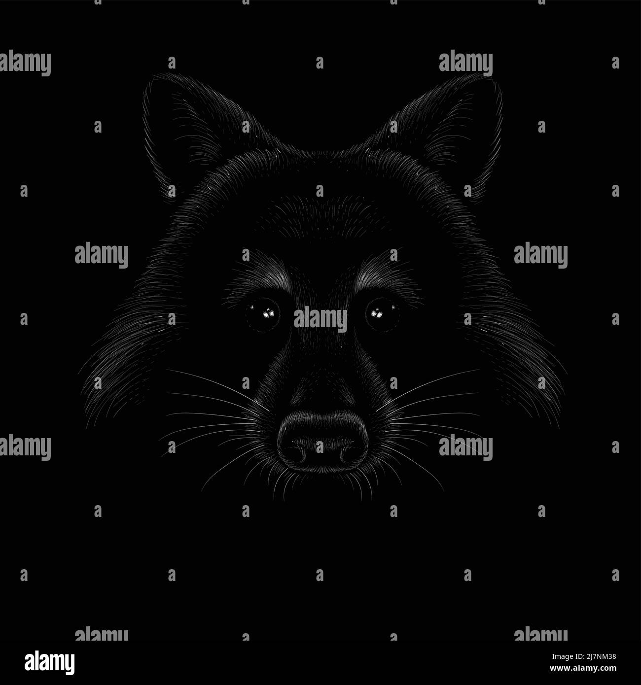 Il raccoon con logo Vector per il design di T-shirt o outwear. Sfondo raccoon stile caccia. Questo disegno di mano sarebbe bello da fare sul tessuto nero Illustrazione Vettoriale
