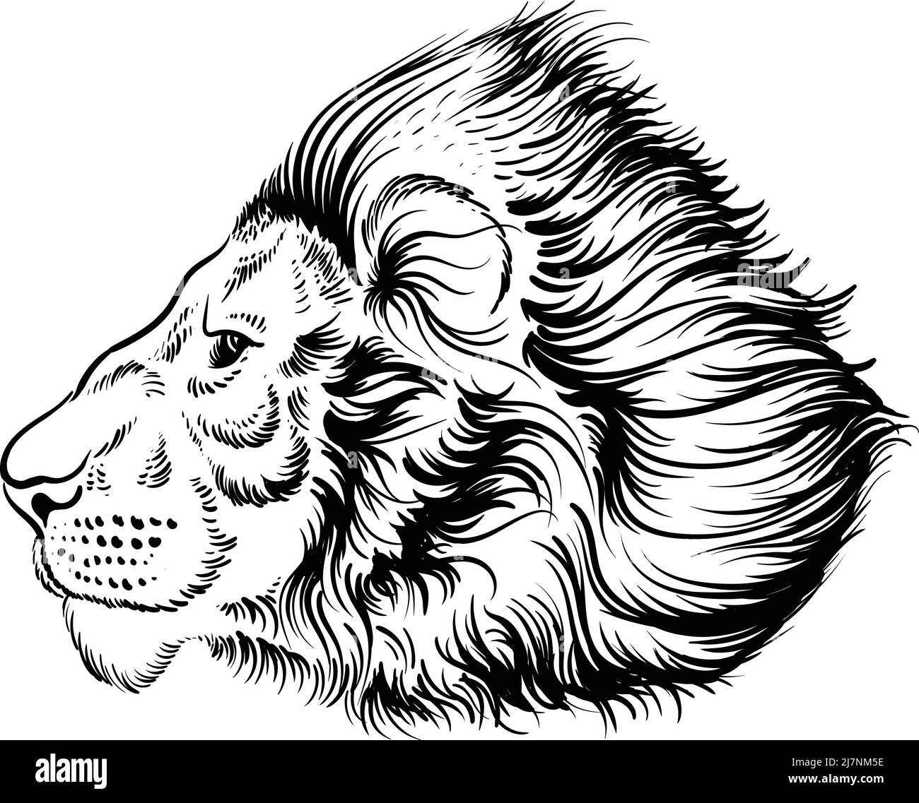 Il leone con logo Vector per tatuaggio o maglietta stampa o outwear. Sfondo leoni stile caccia. Questo disegno a mano sarebbe bello da fare sul bl Illustrazione Vettoriale