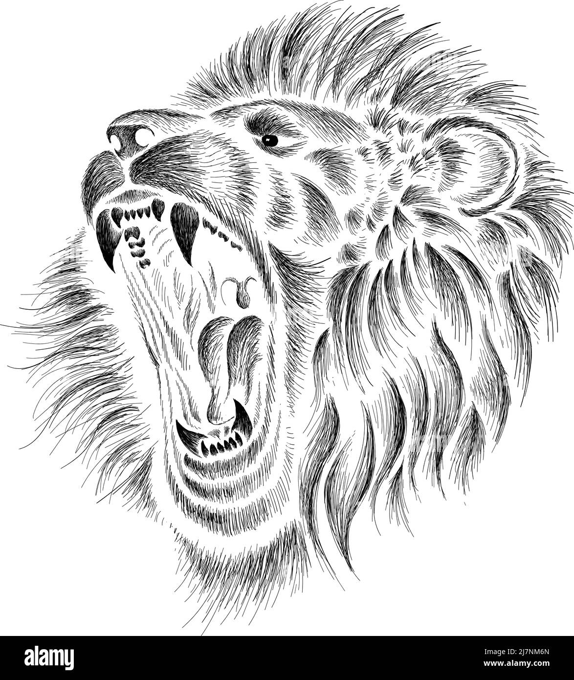 Il leone con logo Vector per tatuaggio o maglietta stampa o outwear. Sfondo leoni stile caccia. Questo disegno a mano sarebbe bello da fare sul bl Illustrazione Vettoriale